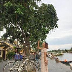 Cây lộc vừng là gì? Đặc điểm của cây lộc vừng